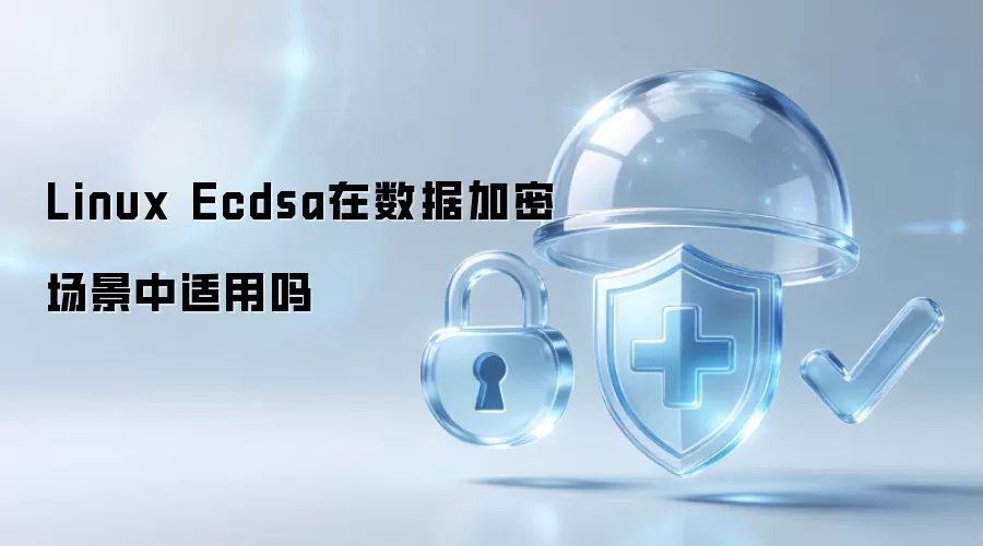 Linux Ecdsa能否用于数据加密场景