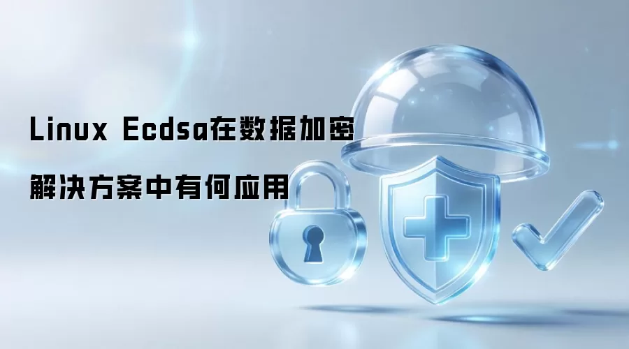 Linux Ecdsa在数据加密方案中有何应用
