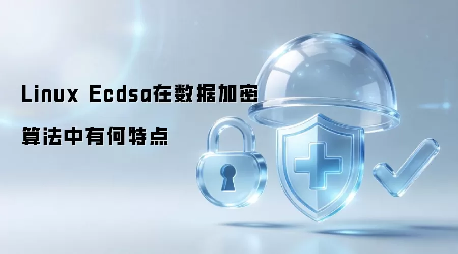 Linux Ecdsa在数据加密算法中有何特性