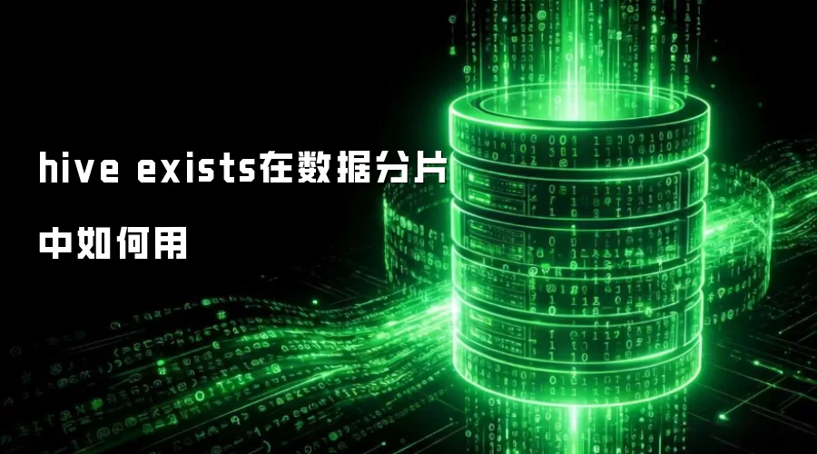hive exists在数据分片中怎样用