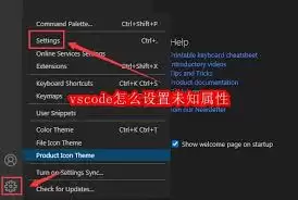 vscode怎样设置未知属性