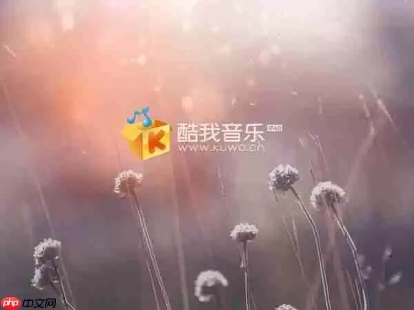 酷我音乐怎样k歌 酷我音乐怎样开启k歌模式