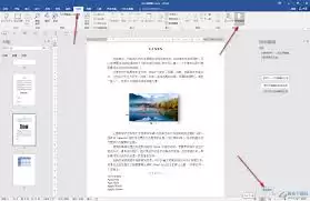 word文档无法复制粘贴了怎么办