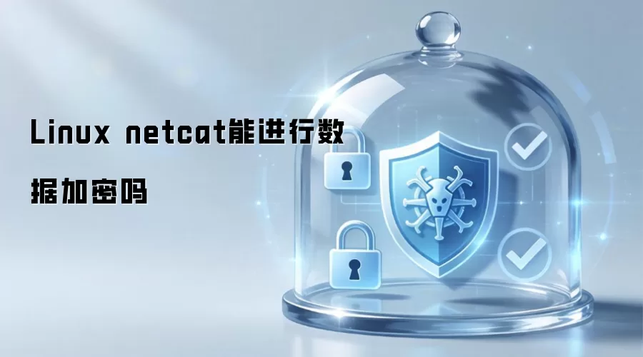 Linux netcat能对数据进行加密吗