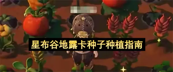 星布谷地露卡种子栽种指南