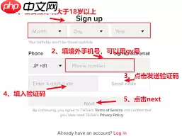 抖音国际版TikTok如何注册下载APP