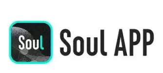 soul手机号能否搜索到账号