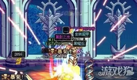 DNF起源版本即将来临 多年陪伴的领主粉惨遭删除