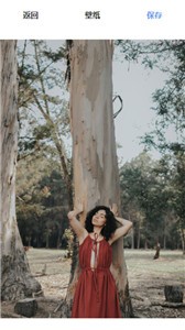 星贴壁纸