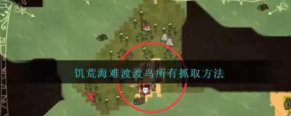 饥荒海难渡渡鸟怎么捕捉:饥荒海难渡渡鸟所有抓取方法