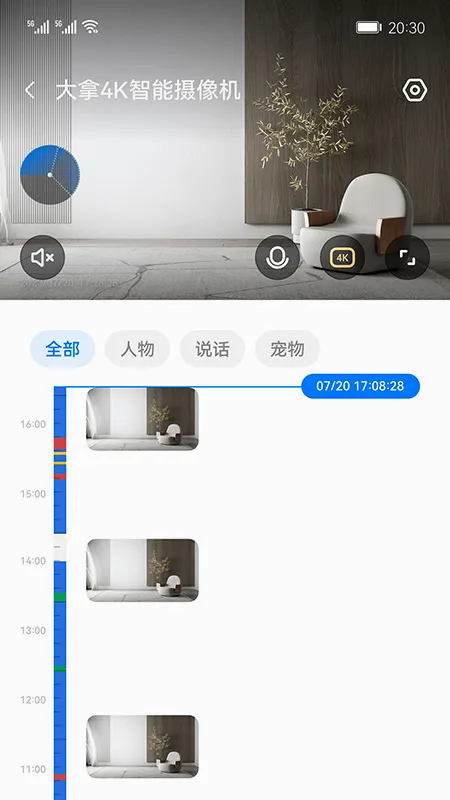 大拿