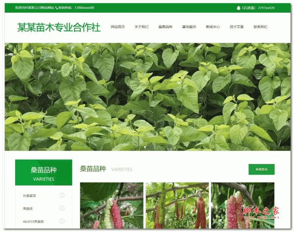 腾和苗木网站管理系统_v1.15
