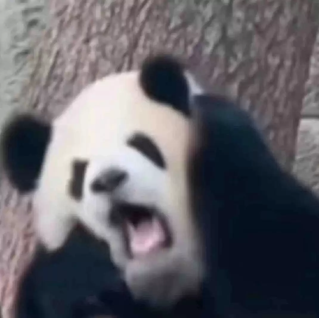 《画狐》配方分享：道宗炼蛊
