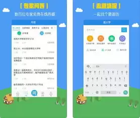 掌上高考app怎么查看版本号