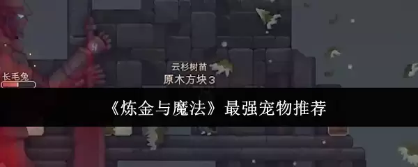 《炼金与魔法》最强宠物推荐指南