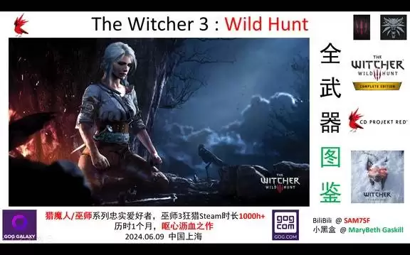 巫师3狂猎 全武器图鉴分享
