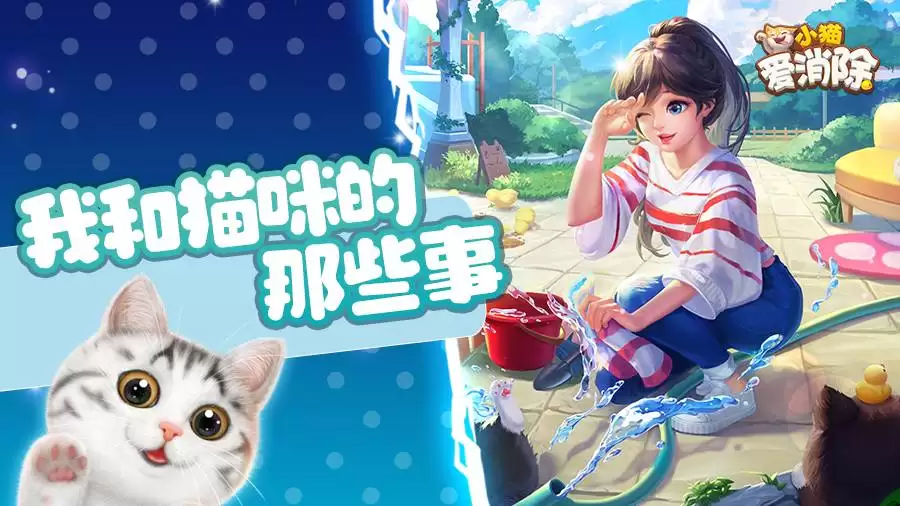 喵喵的猫咪属性结合是什么