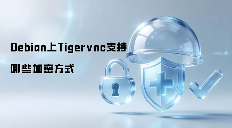 Debian系统中Tigervnc支持的加密方式有哪些