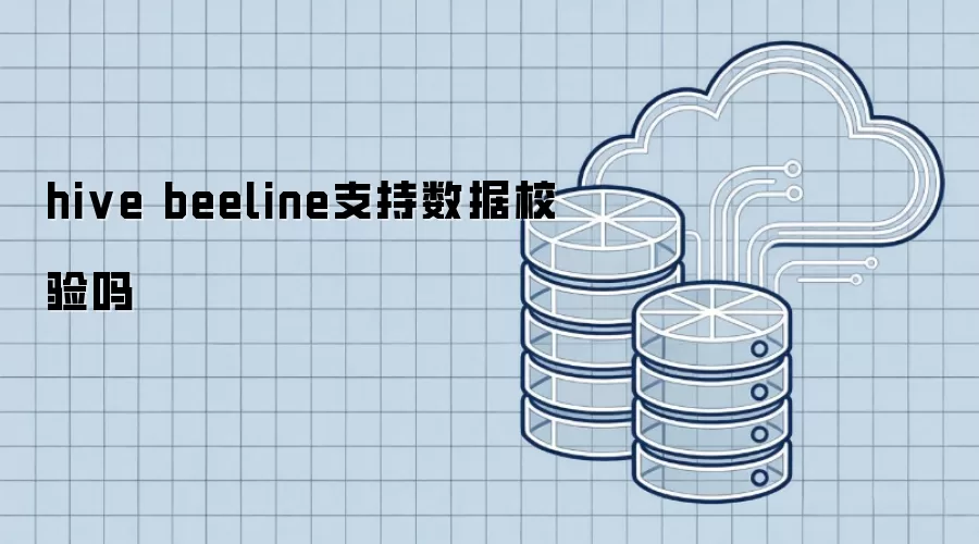 hive beeline是否支持数据校验功能