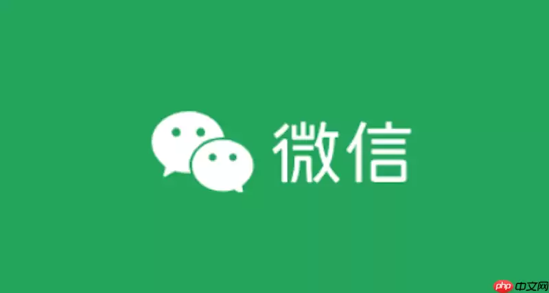微信网页版登录入口 微信文件传输助手网页入口
