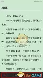 点众小说app翻页如何设置