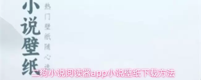 二狗小说阅读器app小说壁纸下载方式