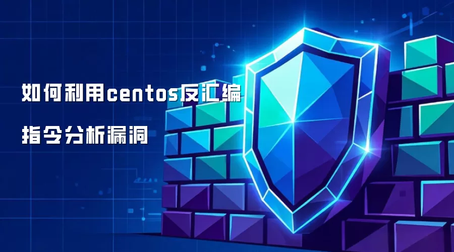 利用centos反汇编指令分析漏洞的方法