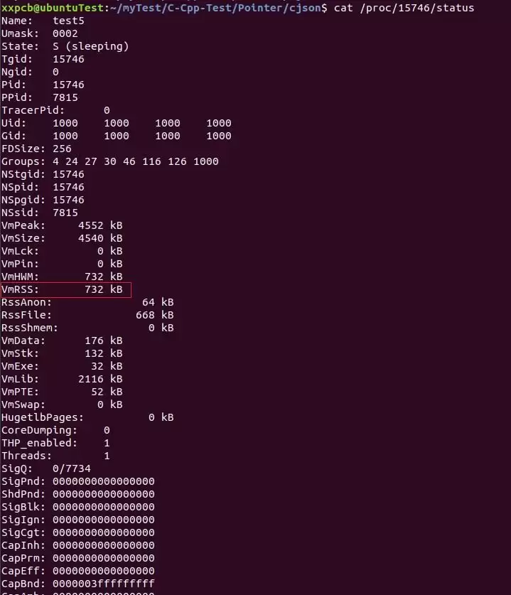 Linux进程内存监控与内存泄漏的检测方法