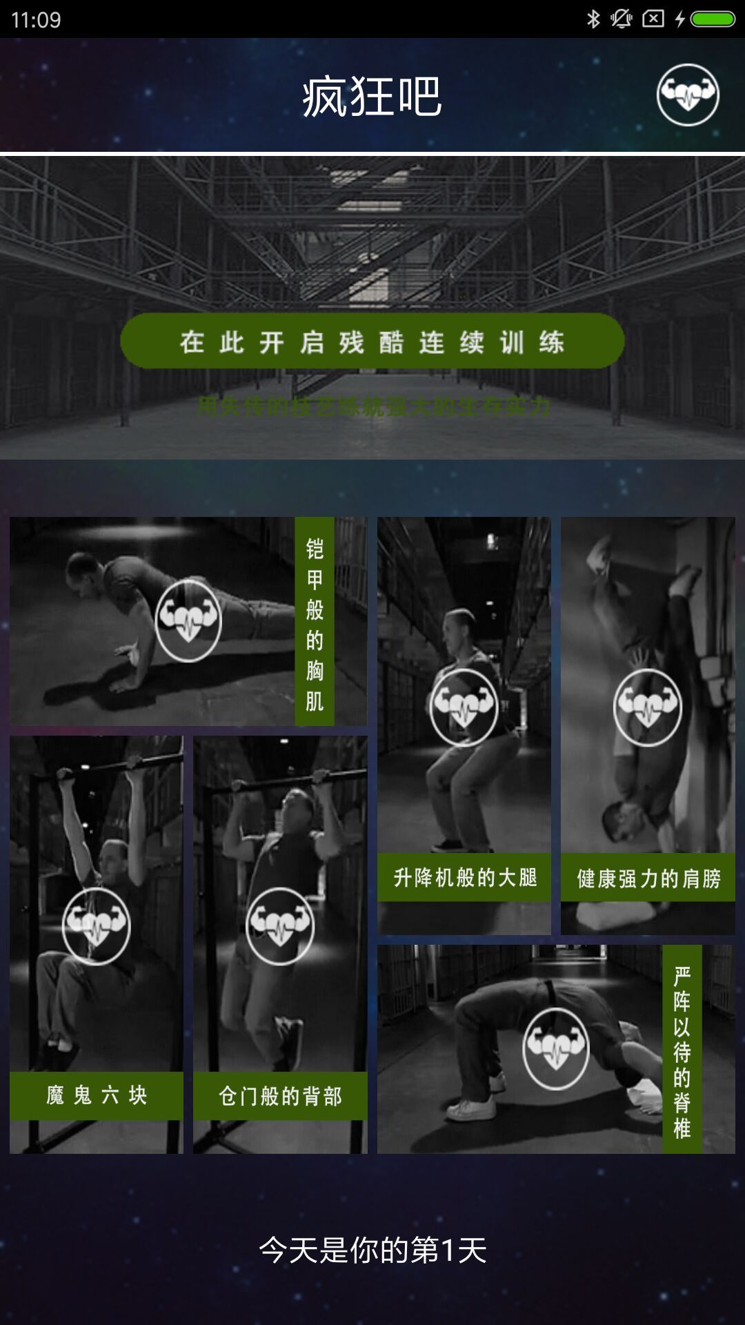 维达训练