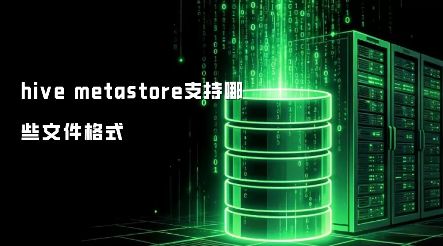 hive metastore能支持哪些文件格式