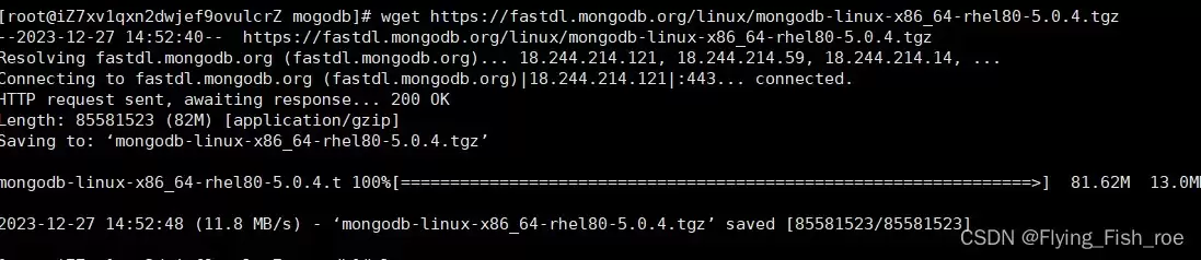 linux中安装mongodb图文教程