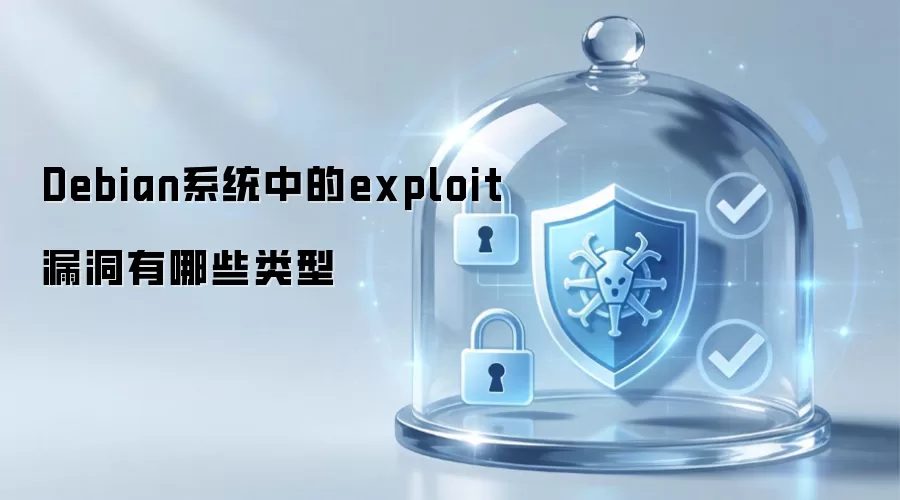 Debian系统内exploit漏洞的类型有哪些