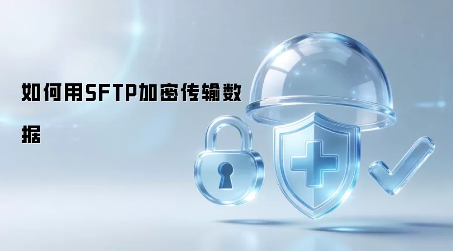 怎样用SFTP加密传输数据