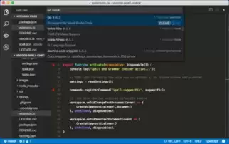 Visual-Studio-Code应用程序图标如何挑选-Visual-Studio-Code应用程序图标哪个更好