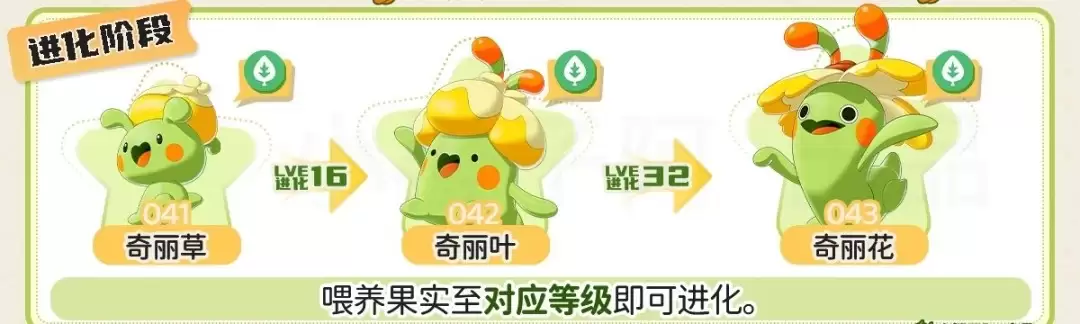 洛克王国世界奇丽花如何进化