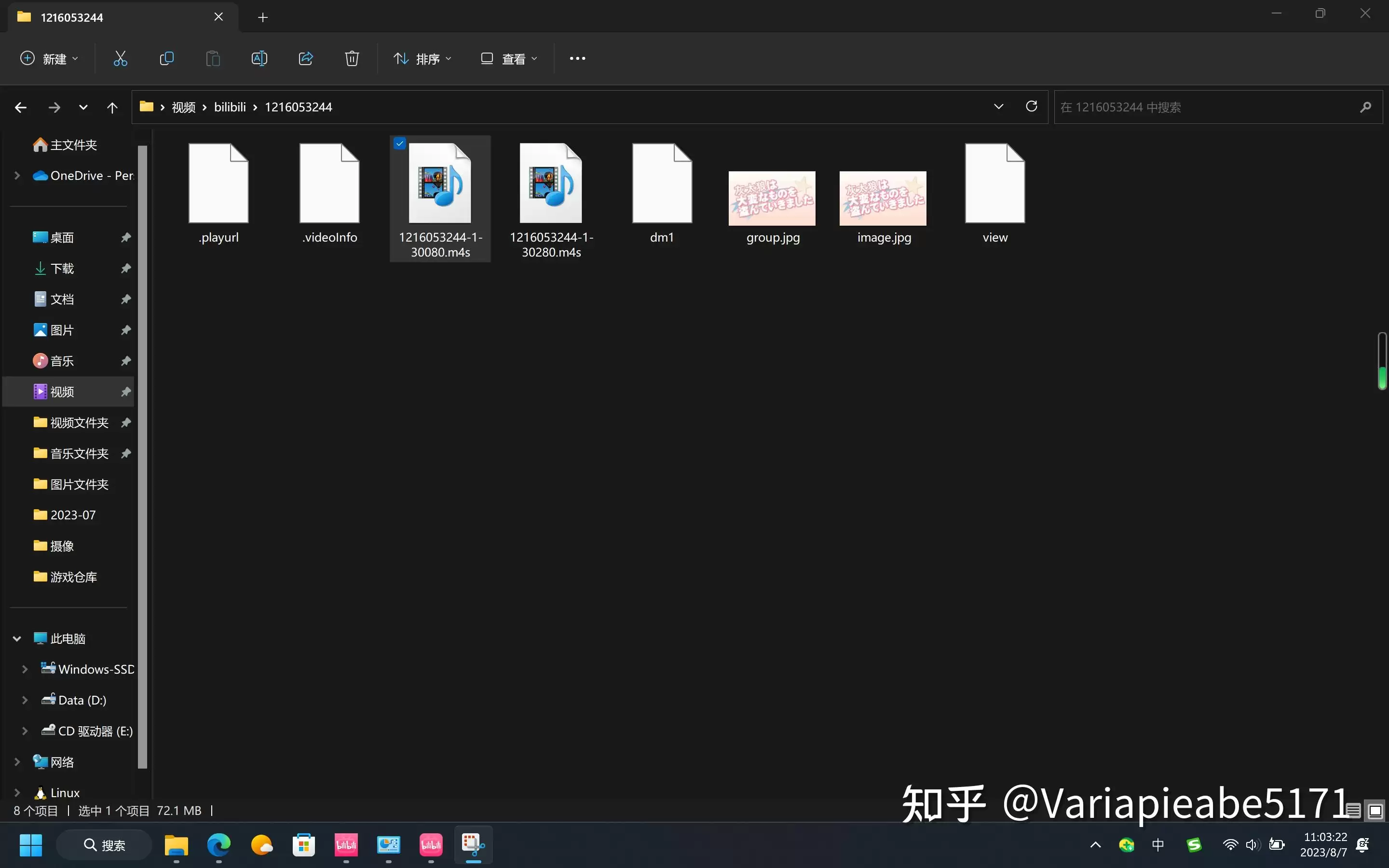 在哪观看b站-b站观看位置