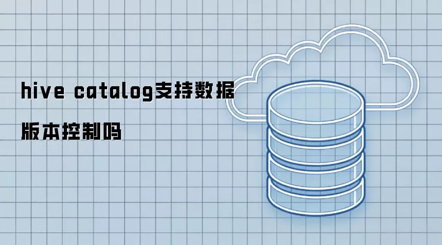 Hive catalog 是否支持数据版本控制