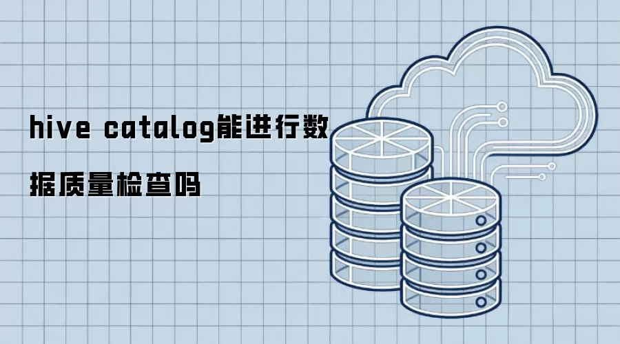 hive catalog能否进行数据质量检查