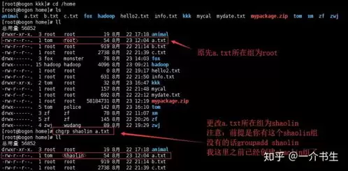 如何在Linux中查看某个用户权限