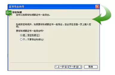 Adobe手机端怎样查询证书-Adobe手机端证书查询方法指南