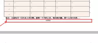 WPS如何将多余空白页删除