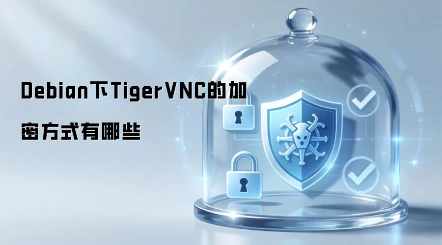Debian中TigerVNC的加密方式有哪些