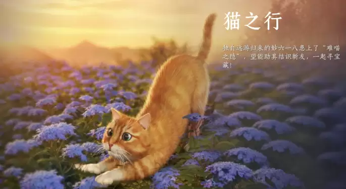 燕云十六声猫猫互动成就达成方法详解