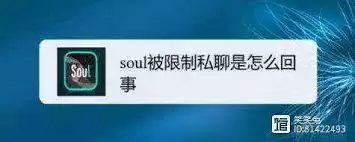Soul账号异常被限制登录该怎么办