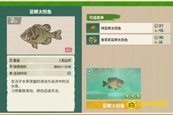 《潜水员戴夫》蓝鳃太阳鱼钓点位置-丛林DLC蓝鳃太阳鱼图鉴钓鱼点钓鱼时间方法