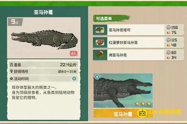《潜水员戴夫》亚马孙鳄在哪儿钓-丛林DLC亚马孙鼍图鉴钓鱼点钓鱼时间方法