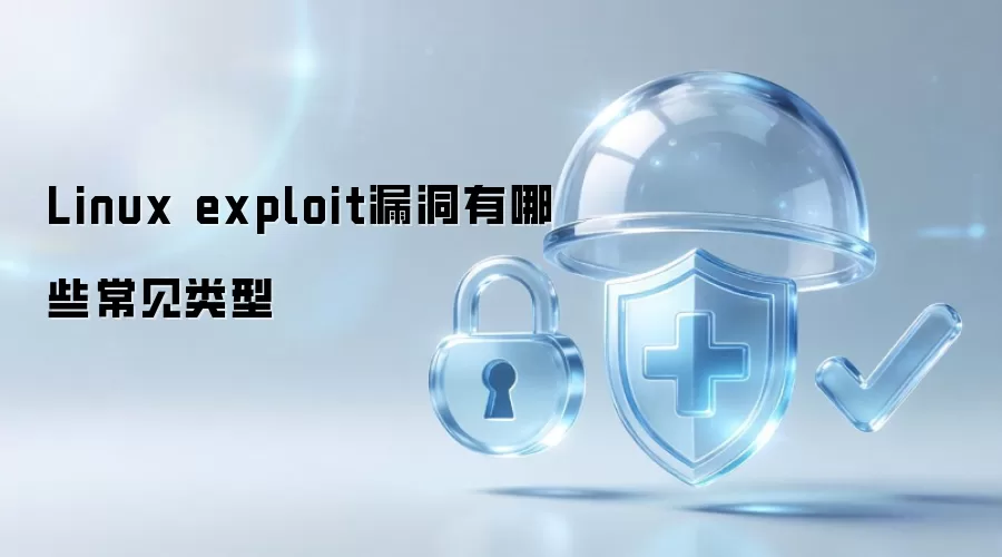 Linux exploit漏洞常见类型有哪些