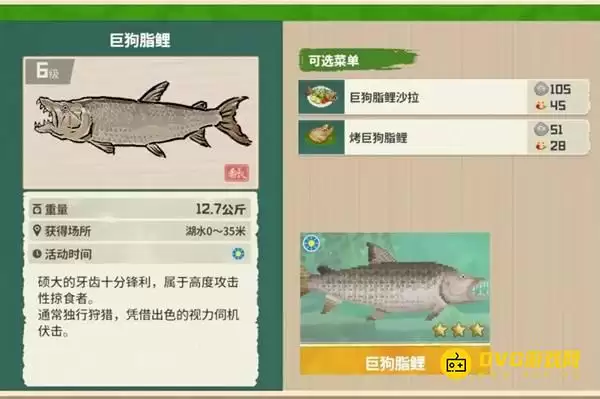 潜水员戴夫三星巨狗脂鲤怎么钓-3星巨狗脂鲤获得钓取方法