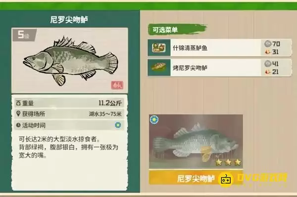 《潜水员戴夫》三星尼罗尖吻鲈如何钓取 - 3星尼罗尖吻鲈获得钓法