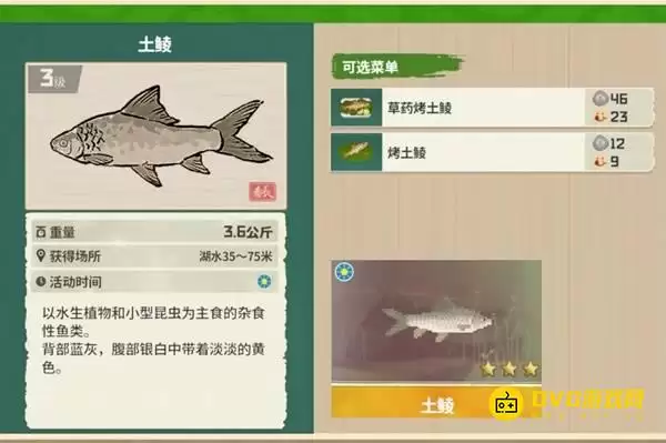 《潜水员戴夫》土鲮在哪里钓：丛林DLC土鲮图鉴钓鱼点钓鱼时间方法